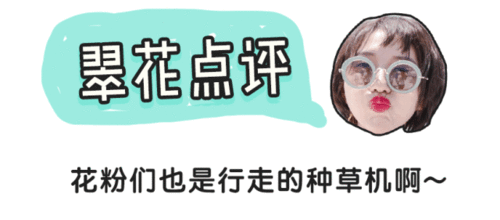 读者晒货 2018年:这些东西买得最满意阅读台灯
